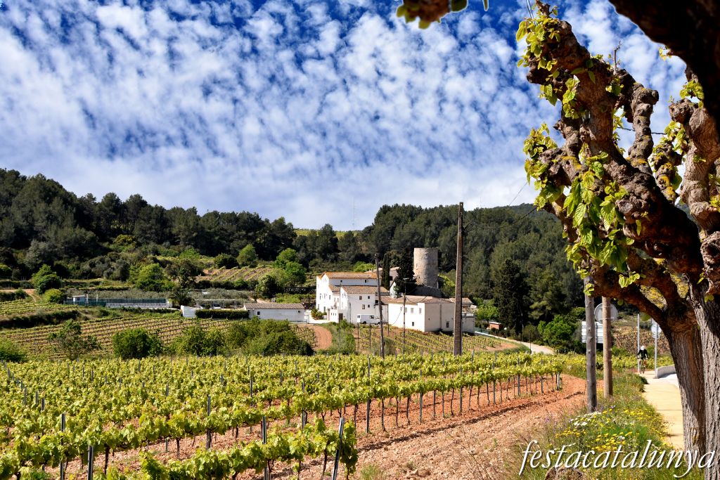 Avinyonet del Penedès - L'Arboçar de Baix