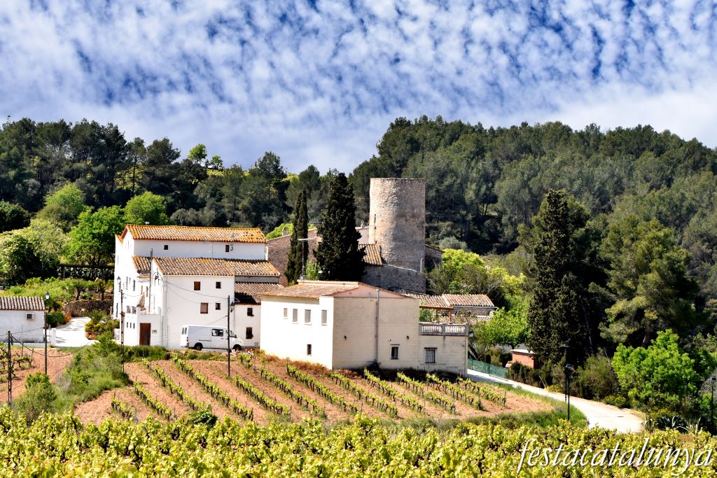 Avinyonet del Penedès - L'Arboçar de Baix