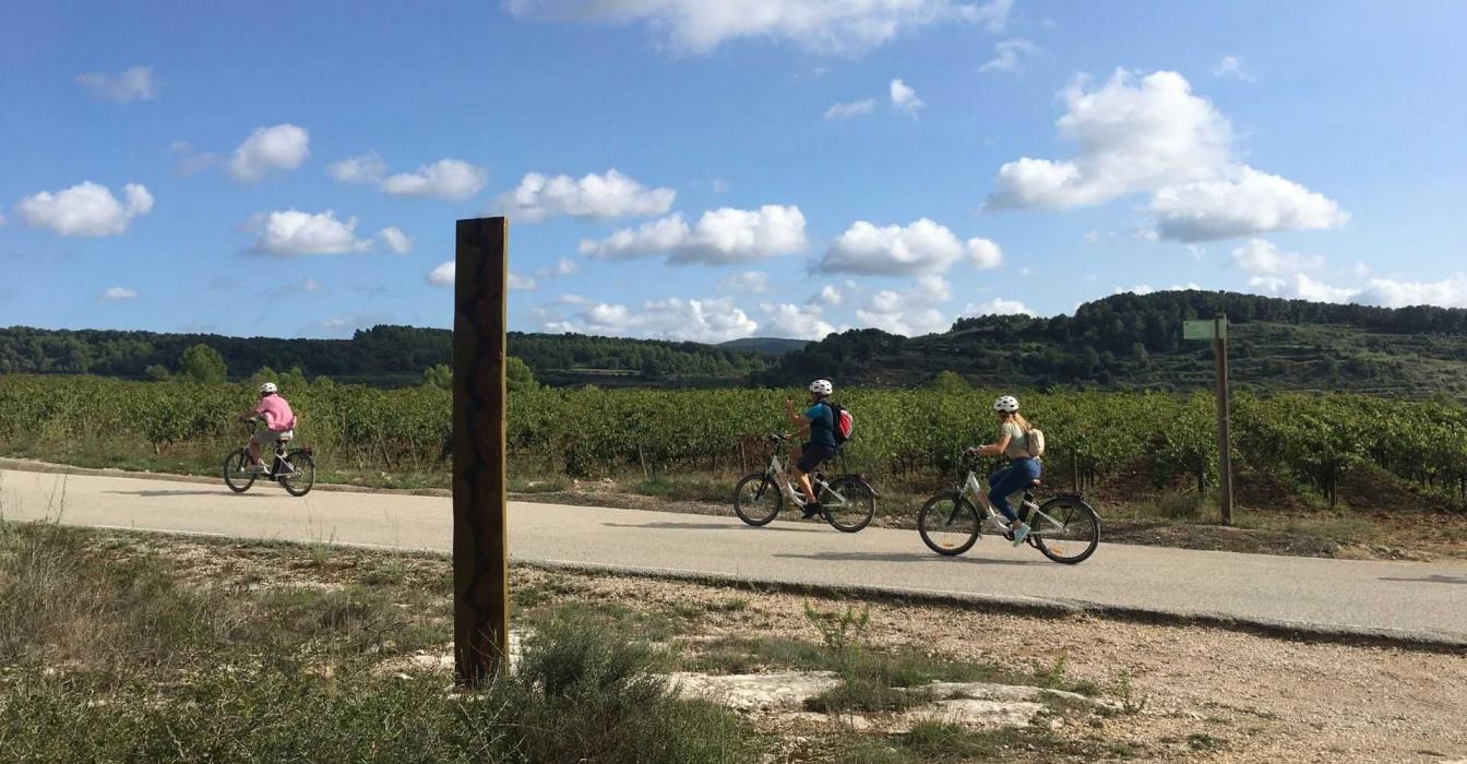 Rutes entre vinyes i cellers a Subirats