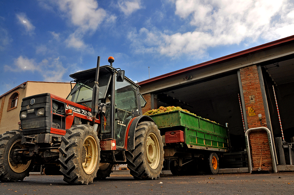 Vila-rodona - Foto 3 