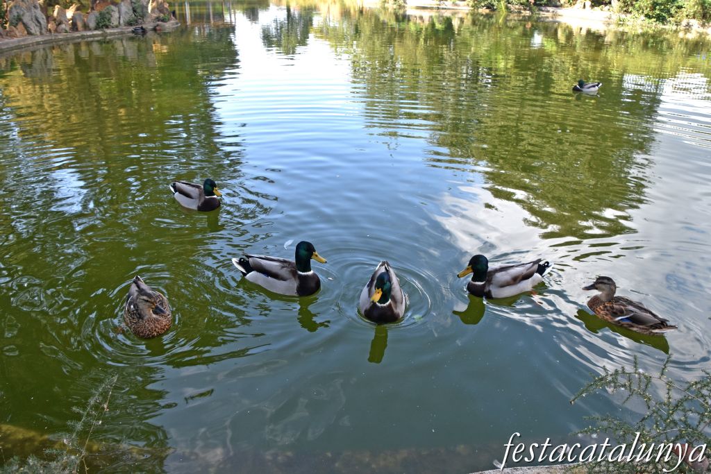 Sant Vicenç de Montalt - Parc municipal dels Germans Gabrielistes  