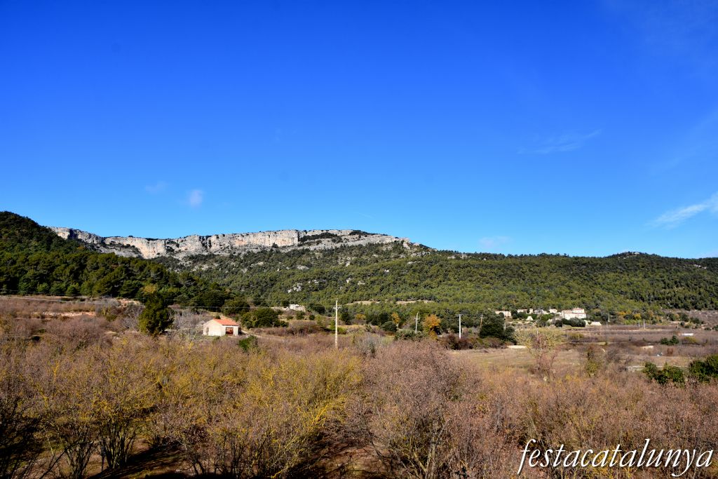 Mont-ral - El Bosquet a Mont-ral