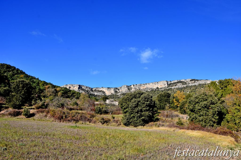 Mont-ral - El Bosquet a Mont-ral