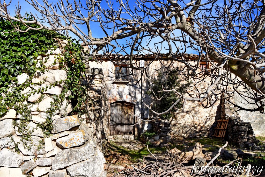 Mont-ral - El Bosquet a Mont-ral