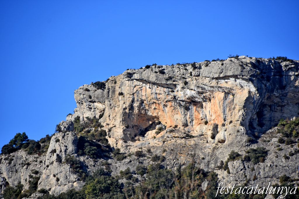 Mont-ral - El Bosquet a Mont-ral