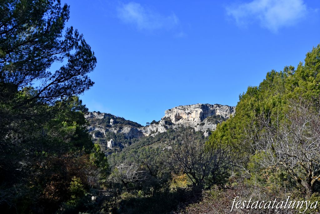 Mont-ral - El Bosquet a Mont-ral