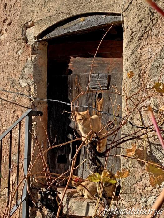 Mont-ral - Nucli històric de Farena