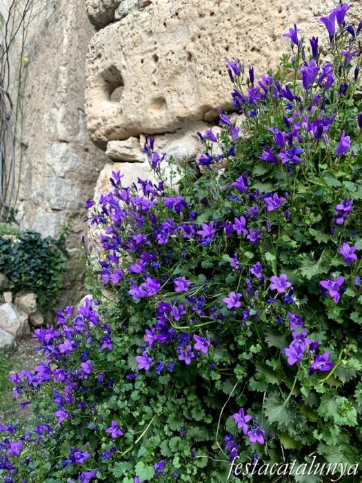 Mont-ral - Nucli històric de l'Aixàviga