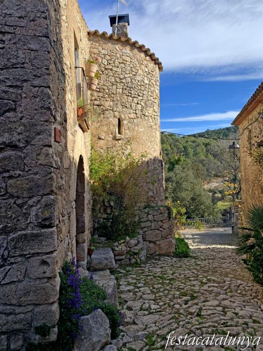 Mont-ral - Nucli històric de l'Aixàviga