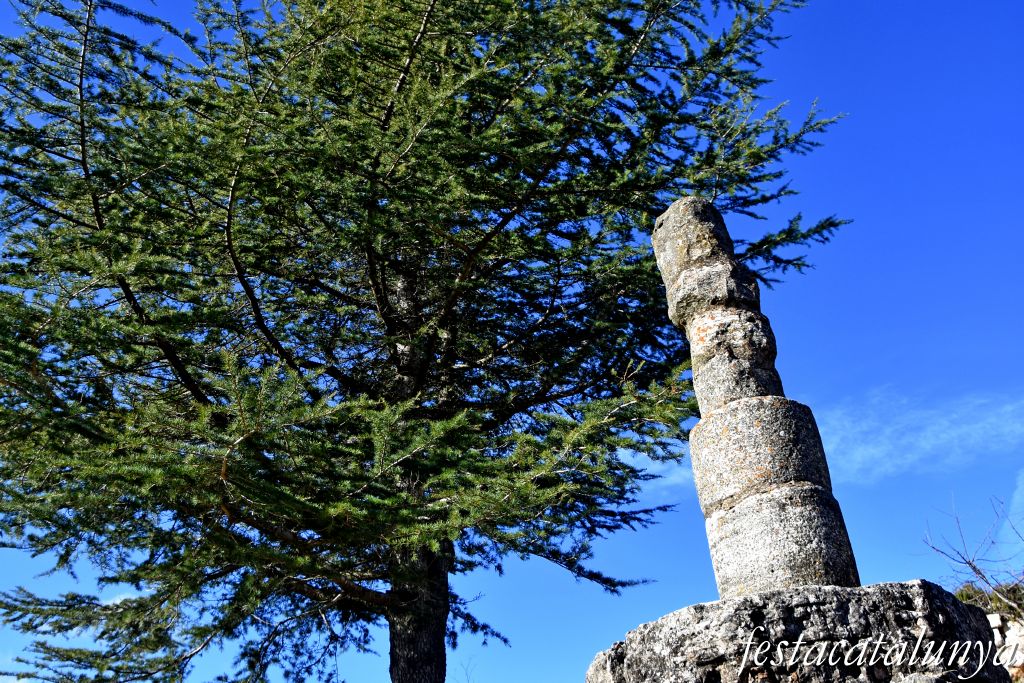 Mont-ral - Nucli històric