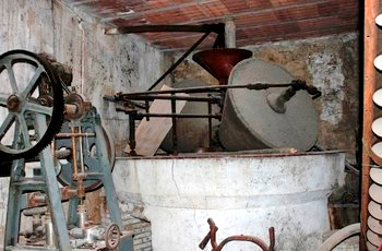 Molí d'oli de Vallclara