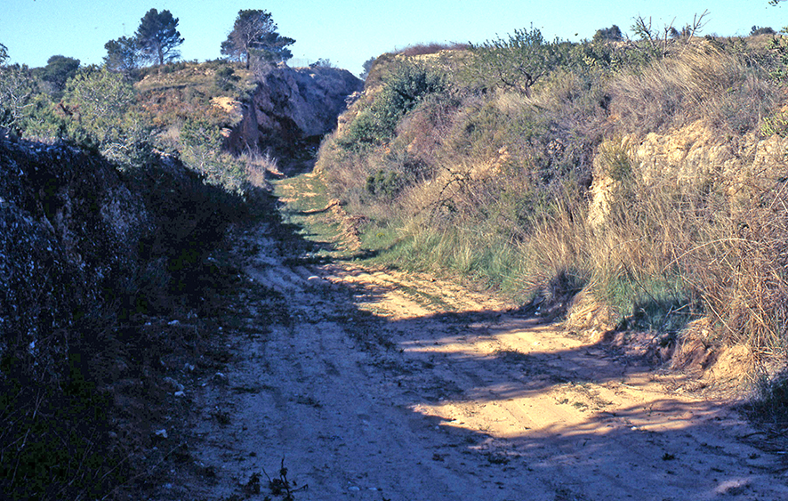 Vila-rodona - Foto 1 Arxiu Santesmases-Rabadà