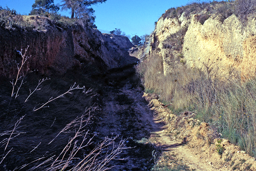 Vila-rodona - Foto 2 Arxiu Santesmases-Rabadà