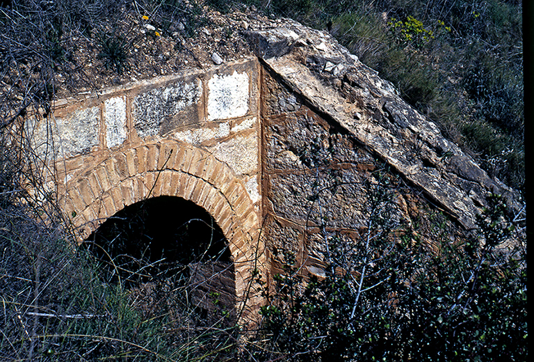 Via del tren. El Ferrocarril Transversal del Principat de Catalunya a Vila-rodona