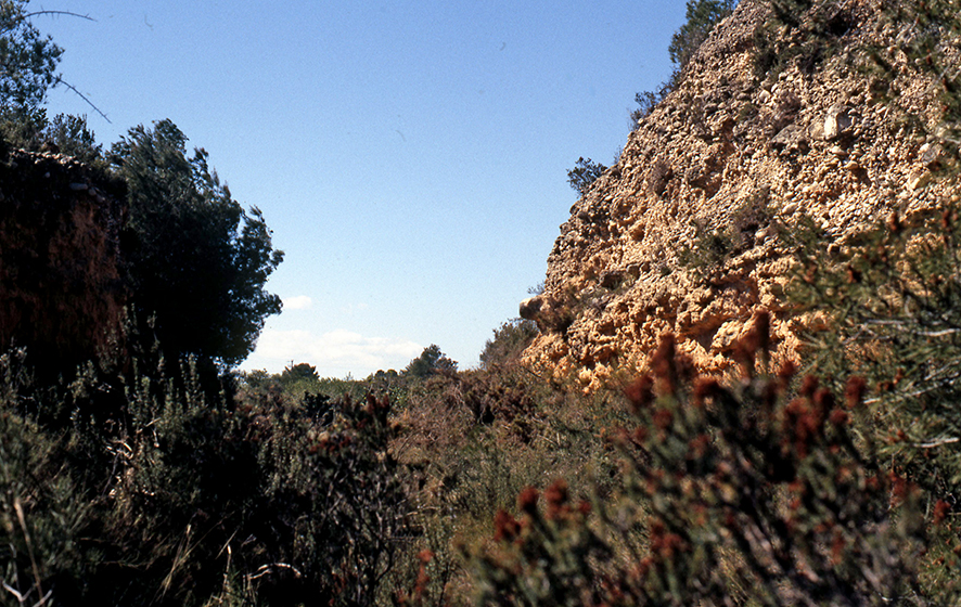 Vila-rodona - Foto 4 Arxiu Santesmases-Rabadà