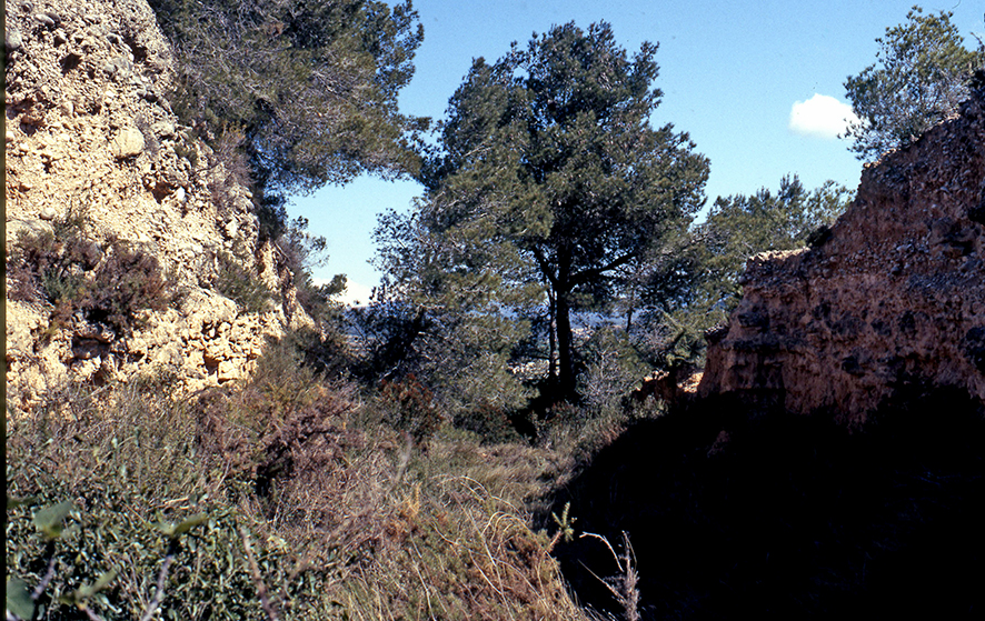 Vila-rodona - Foto 5 Arxiu Santesmases-Rabadà