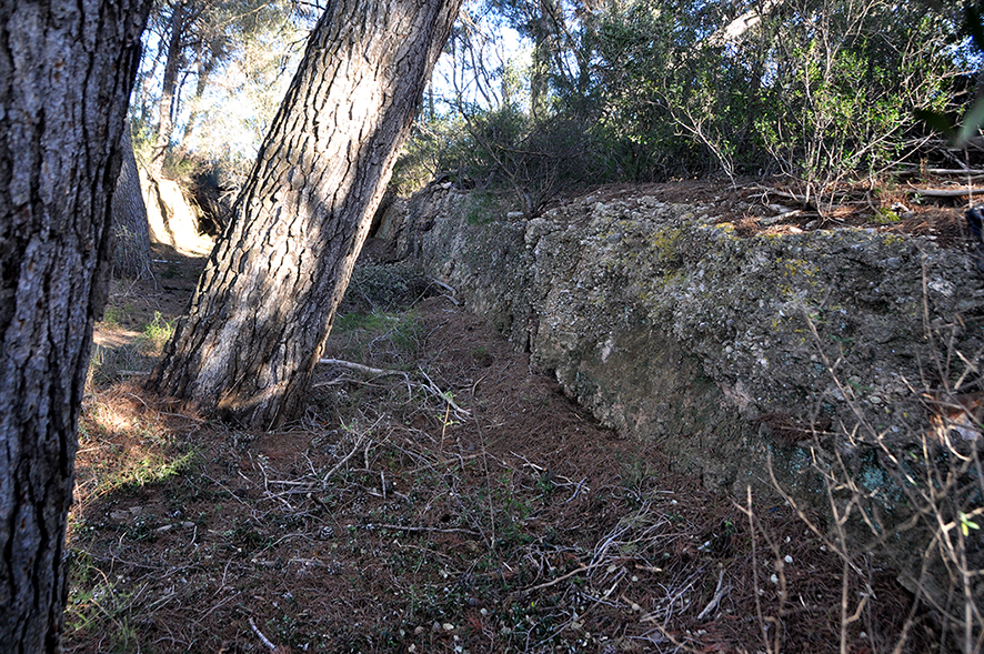 Vila-rodona - Foto 6 Arxiu Santesmases-Rabadà