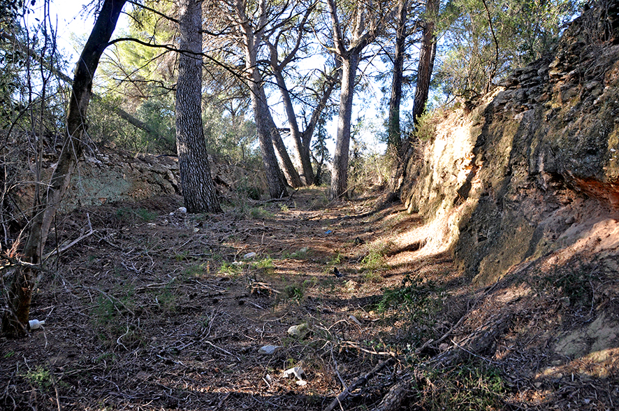 Vila-rodona - Foto 7 Arxiu Santesmases-Rabadà