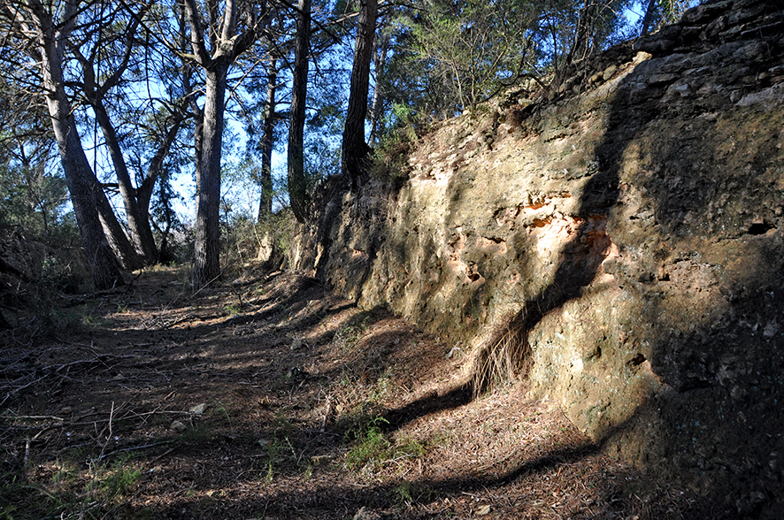 Vila-rodona - Foto 8 Arxiu Santesmases-Rabad