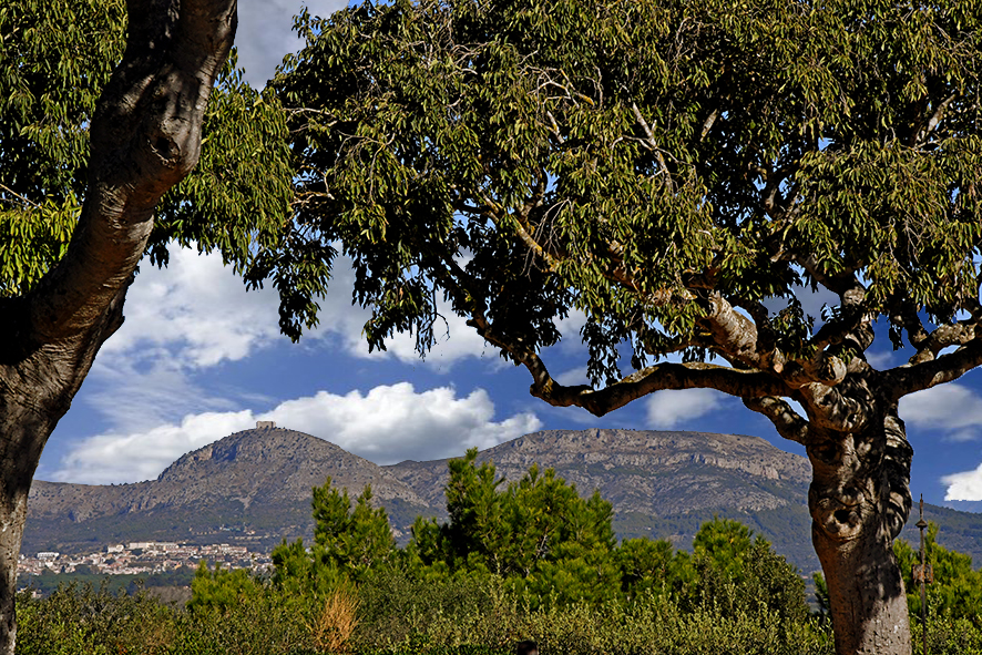 Mirador Josep Pla a Pals