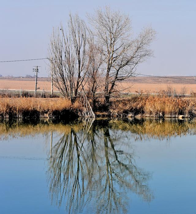 Pantà de la Torre Calbet de Vallfogona de Balaguer