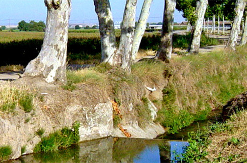 Segona sèquia principal del canal de Balaguer a Vallfogona de Balaguer ***