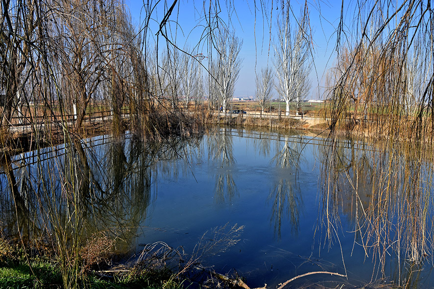 Parc de la Bassa Roja de Vallfogona de Balaguer