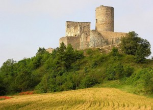 Visites Guiades al Castell de Boixadors de Sant Pere Sallavinera