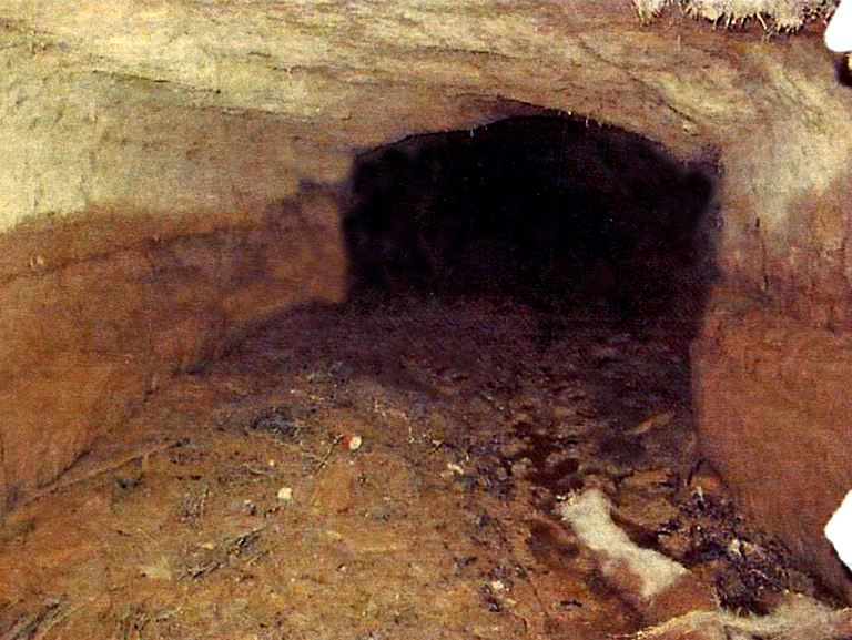 Térmens - Séquia Vella o la Mina (Foto: Ajuntament)