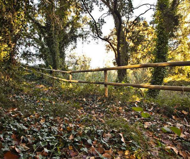 Rutes a peu a l’entorn de Santa Margarida i els Monjos