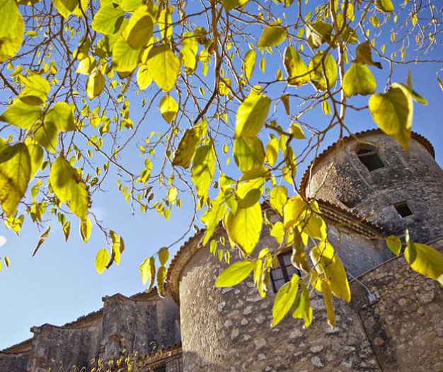 Rutes a peu a l’entorn de Santa Margarida i els Monjos