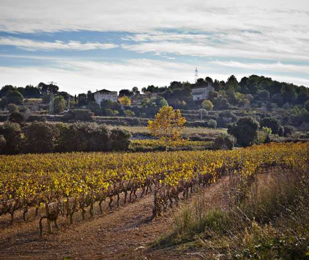 Rutes a peu a l’entorn de Santa Margarida i els Monjos