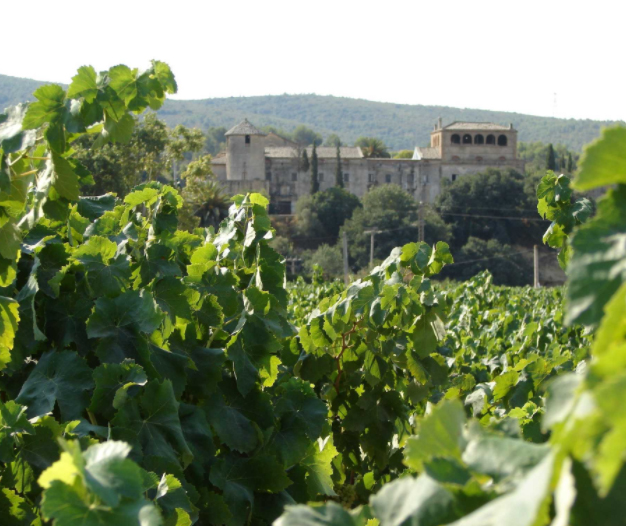 Rutes a peu a l’entorn de Santa Margarida i els Monjos