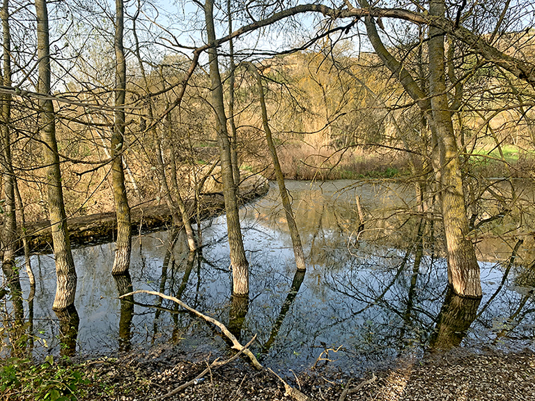 La Peixera Gran d’Aspa ***