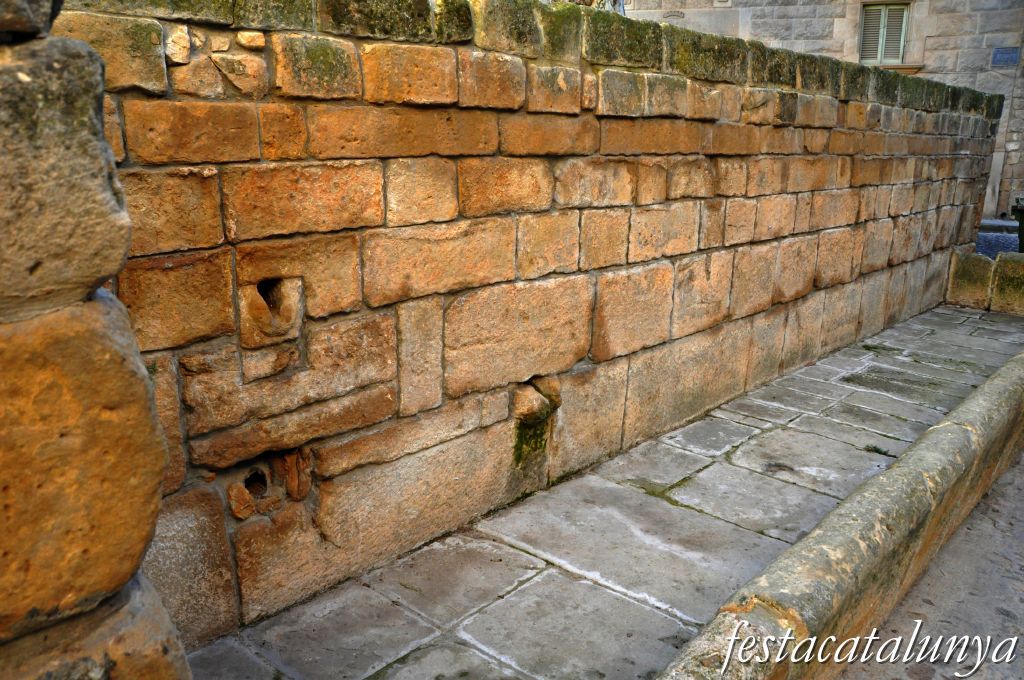 L'Albi - Abeuradors a la Plaça 