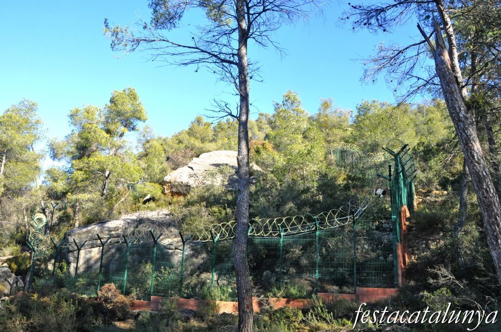 L'Albi - Pintures rupestres de la Vall de la Coma 