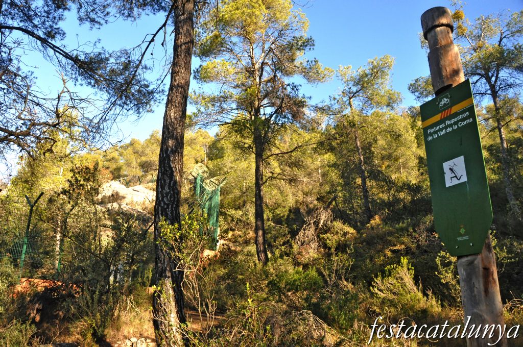 L'Albi - Pintures rupestres de la Vall de la Coma 