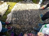 Visites Guiades a l'Albi i el seu entorn