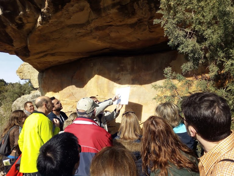 Visites Guiades a l'Albi i el seu entorn
