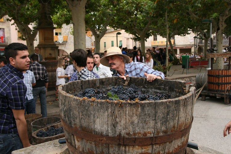 Festa de la Verema i el Vi de Verdú