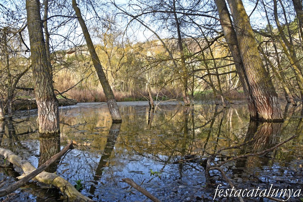 Aspa - La Peixera Gran 