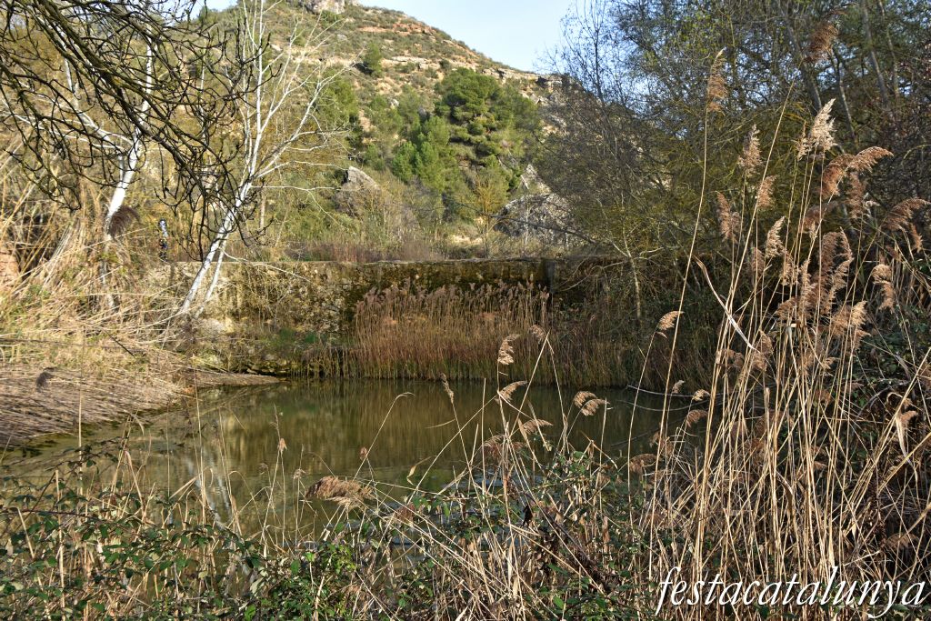 Aspa - La Peixera Gran 