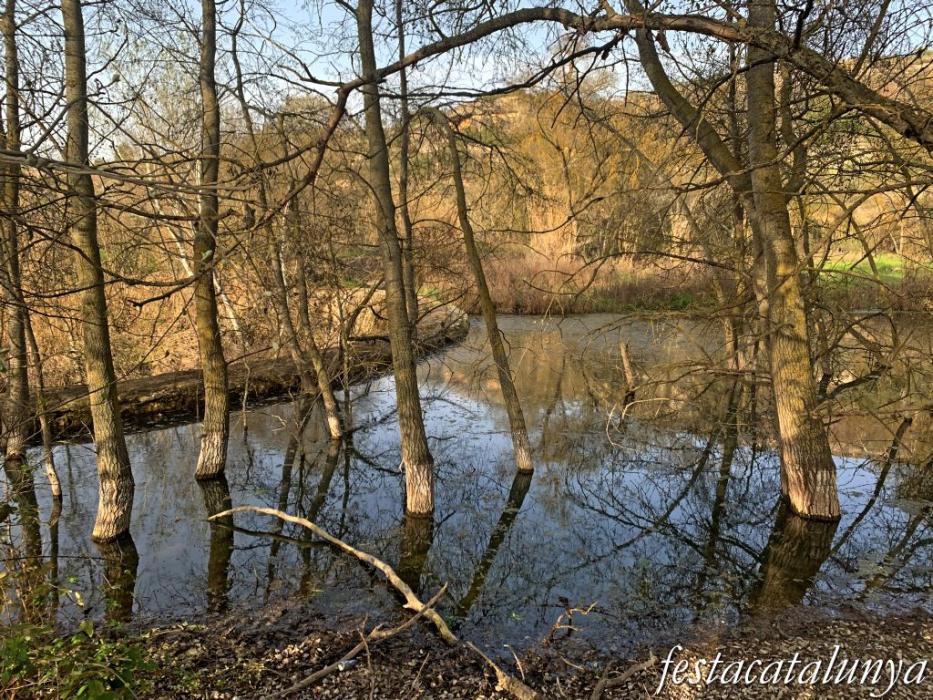 Aspa - La Peixera Gran 