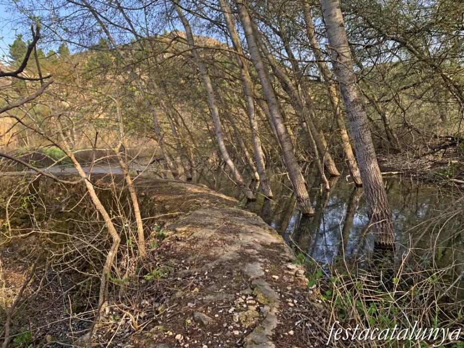 Aspa - La Peixera Gran 