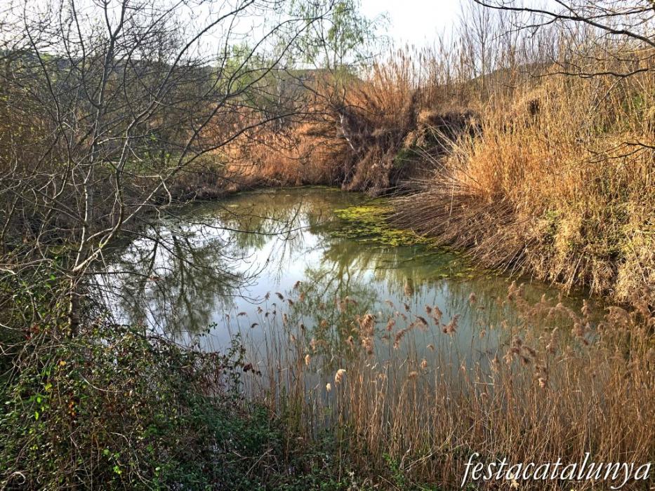 Aspa - La Peixera Gran 