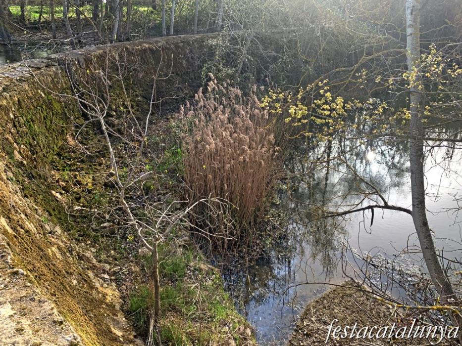 Aspa - La Peixera Gran 