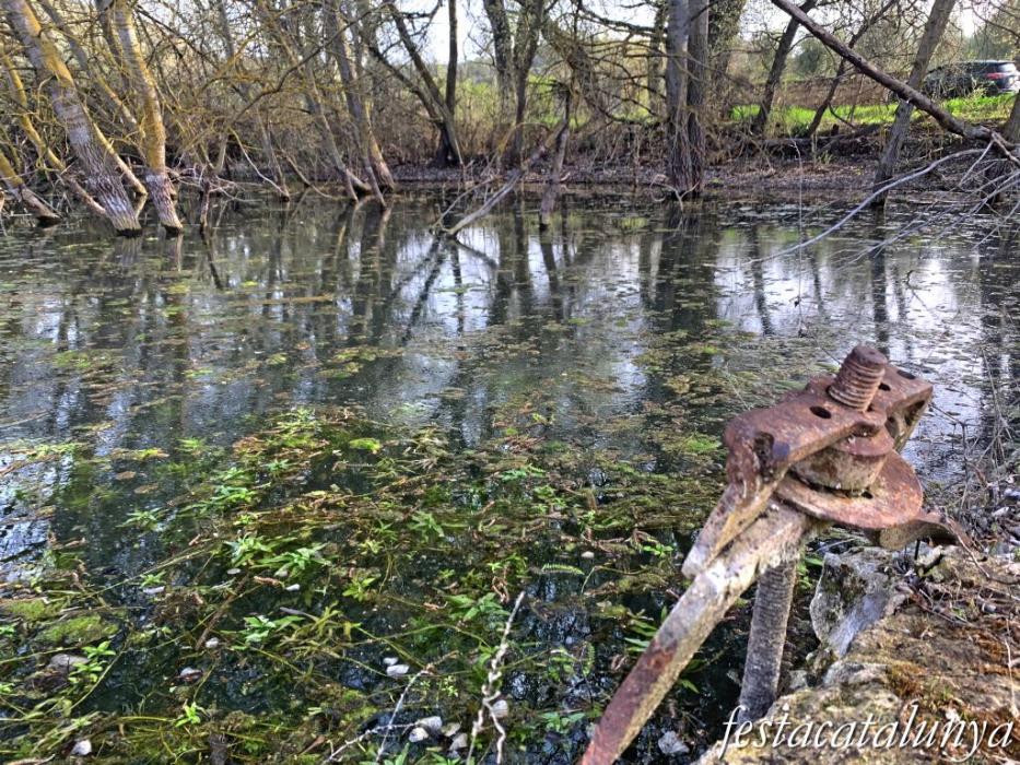 Aspa - La Peixera Gran 