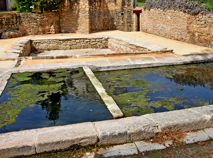Les Basses de la Pobla de Cérvoles