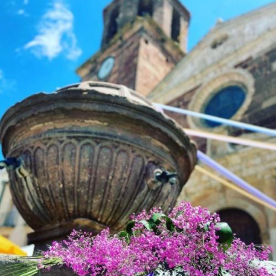 Festa de la Farigola de Prades