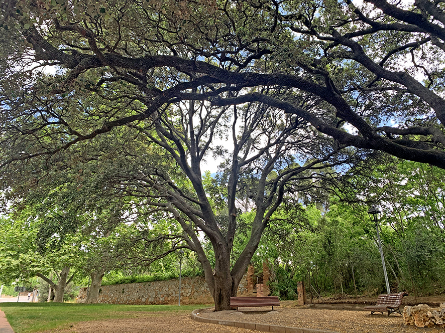 La Font Vella de Botarell ***